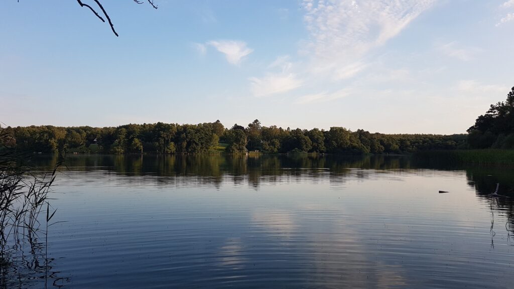 Udsigt over Buresø