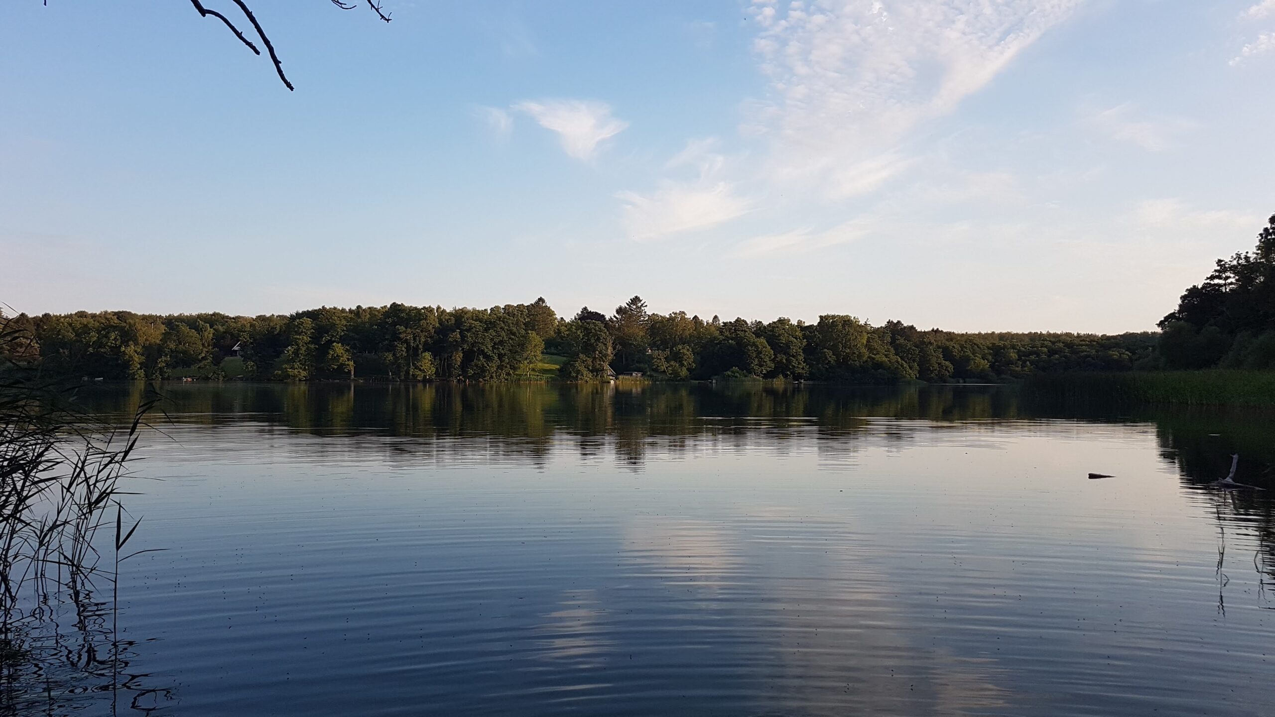Udsigt over Buresø