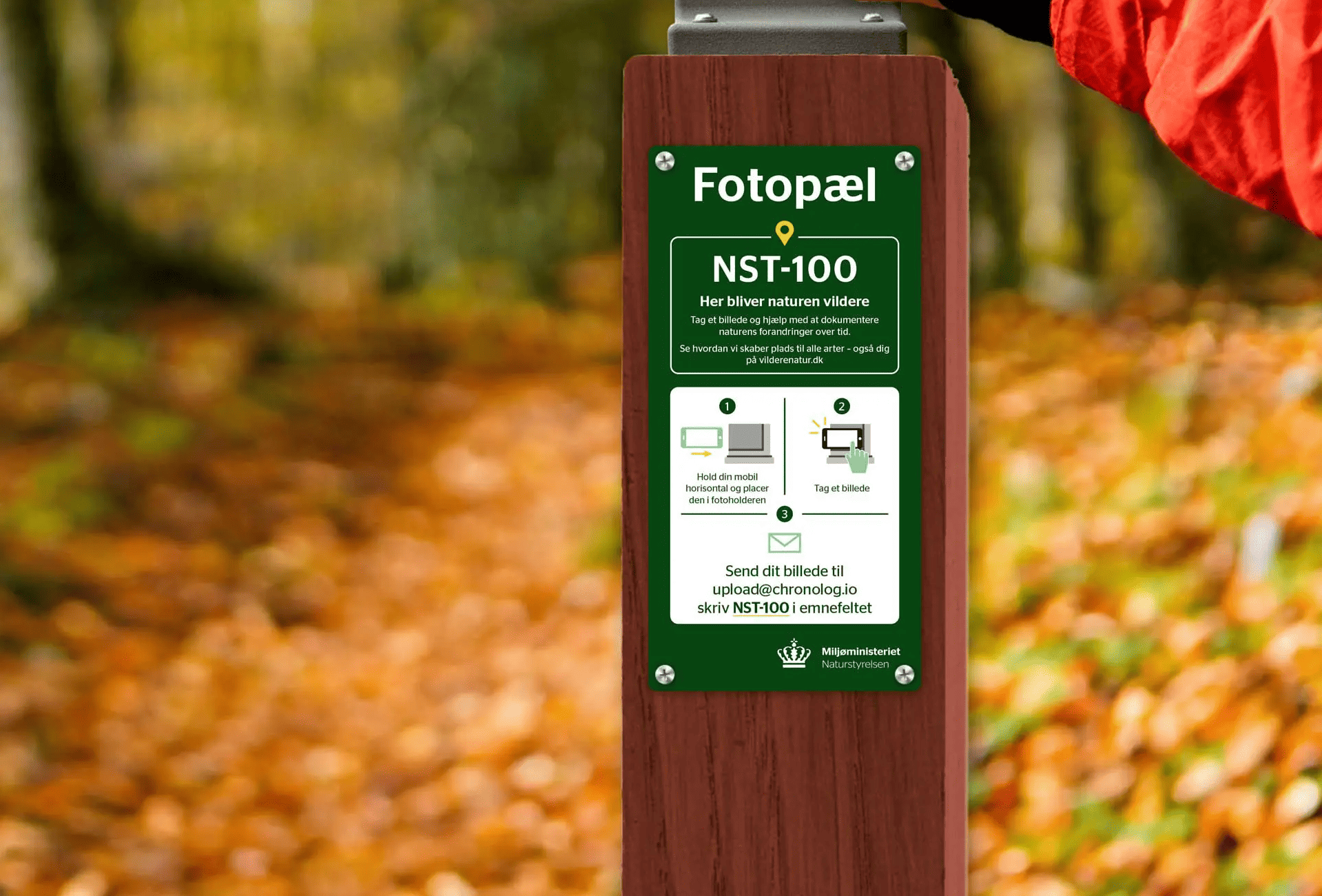 Fotopæl