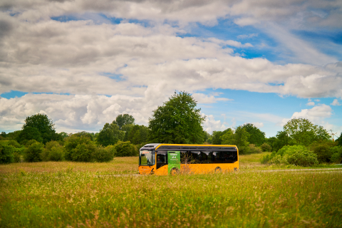 Elbus, sommer