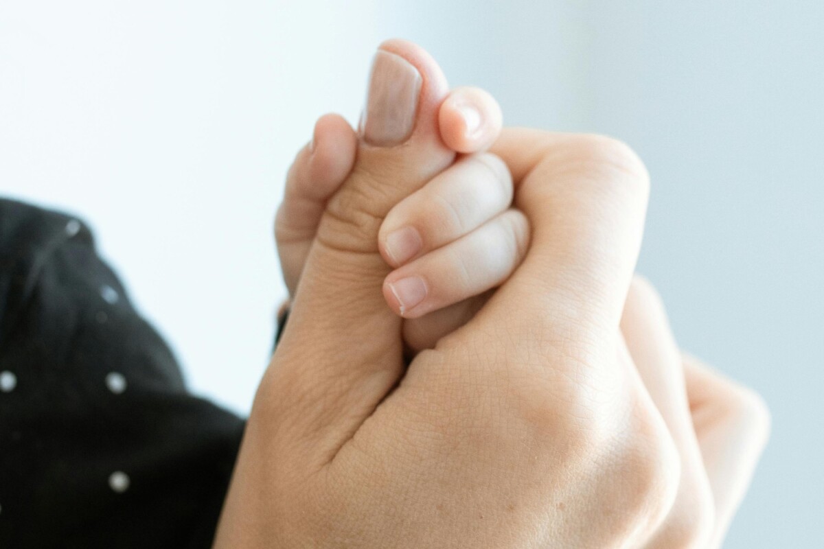 Barn holder voksen i hånden. Foto: RDNE Stock project