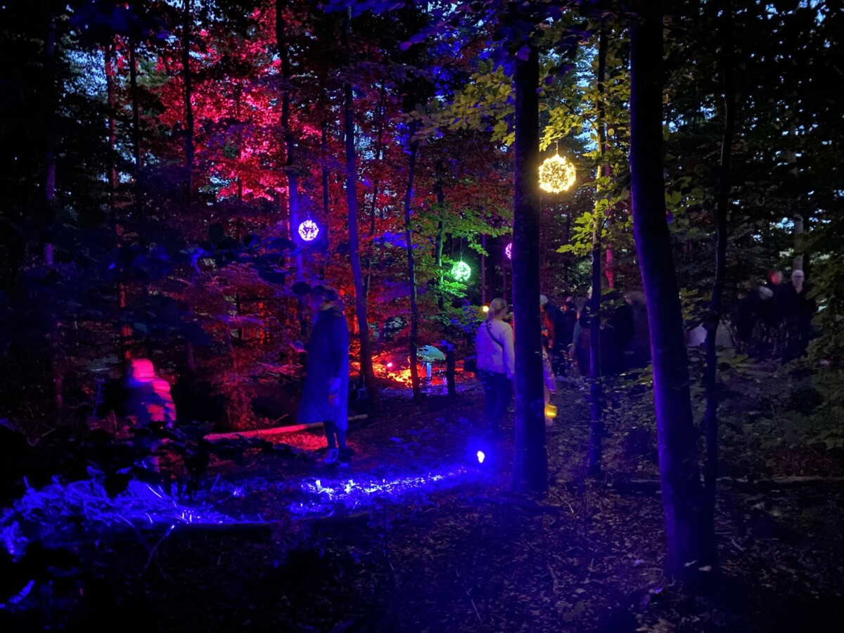 Lysmagi ved Skenkelsø Mølle Foto: Egedal Kommune