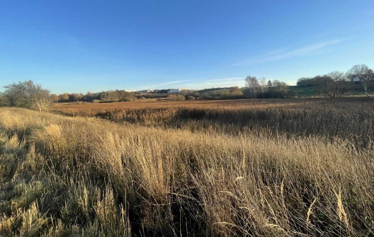 Kildedal Nord Foto: Marianne Bjerre