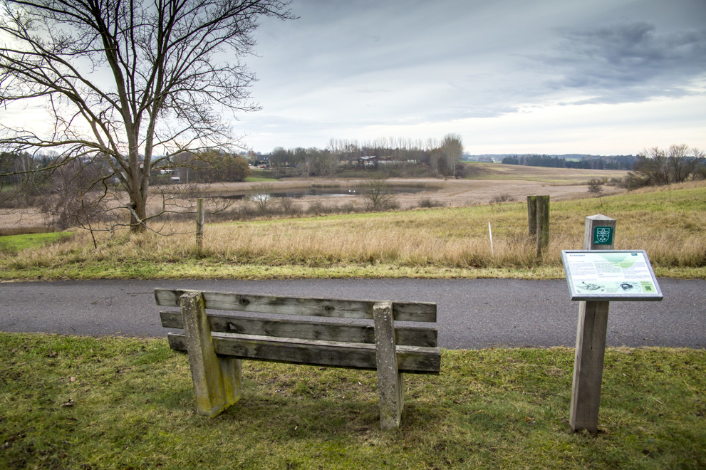 Kirkesøen Knardrup - kig fra Knardrupvej. Foto: Egedal Kommune