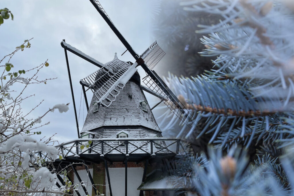 Skenkelsø Mølle jul