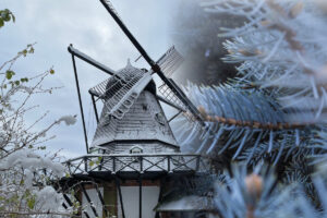 Skenkelsø Mølle jul