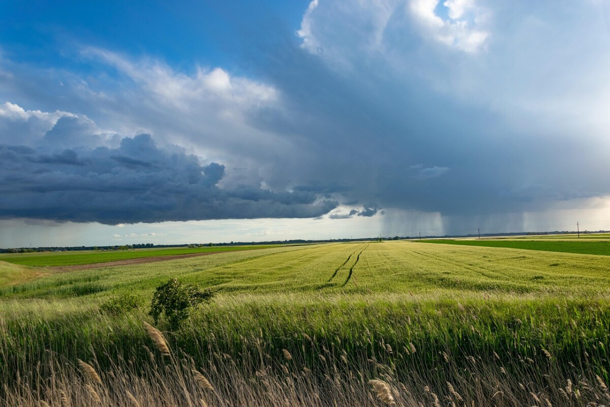 Mark Hvede Landbrug storm Foto: Ottó / Pixabay