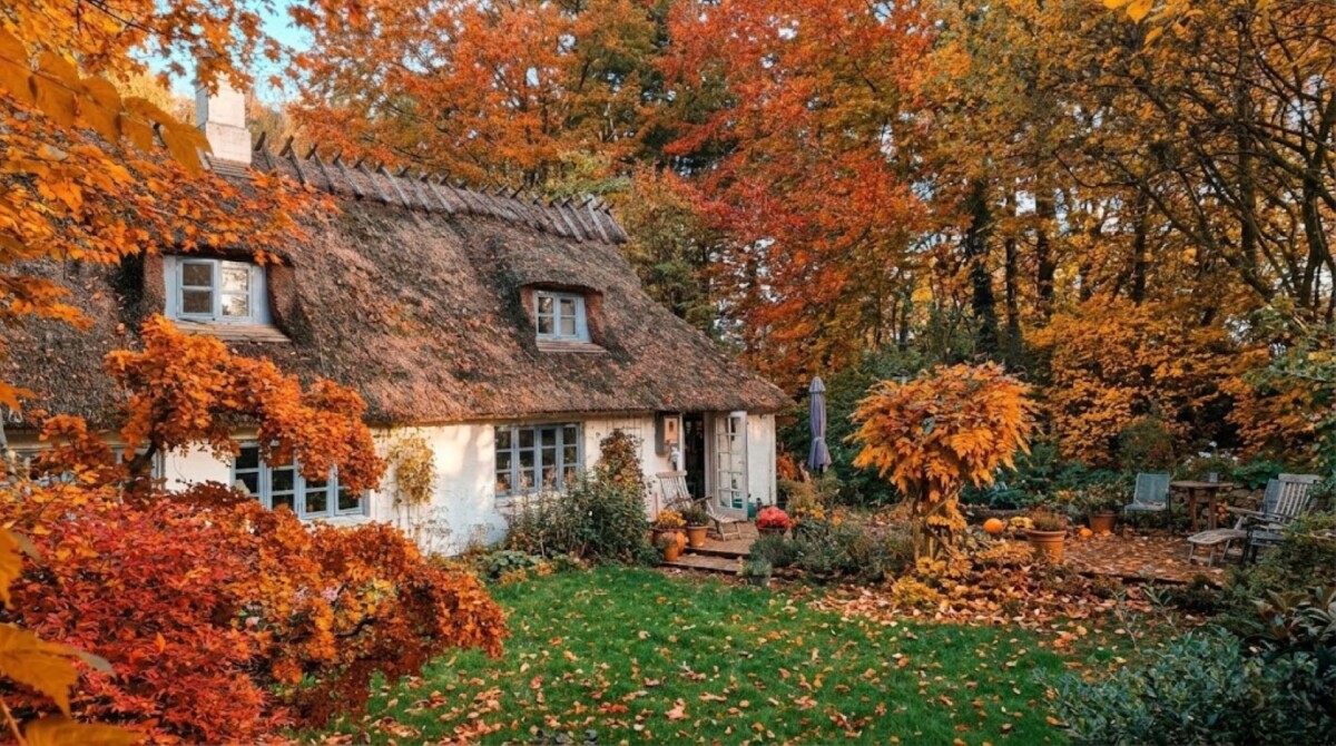 Stråtækt hus (EgedalPosten). Foto: Rasmus Udsholt