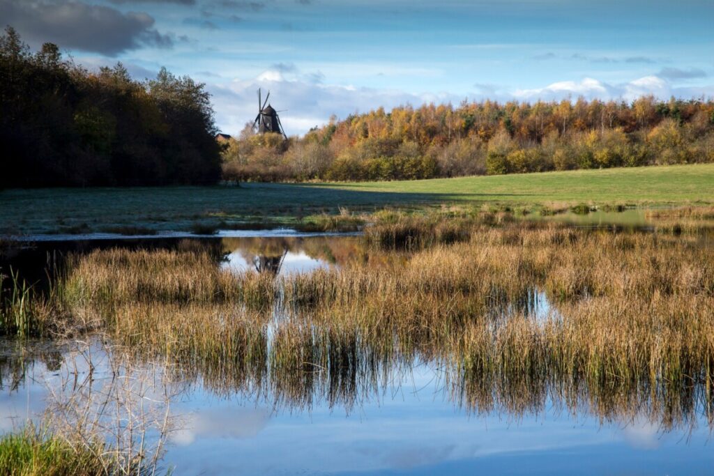 Sperrestrup Skov Foto: Finn Jørgensen