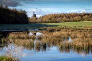 Sperrestrup Skov Foto: Finn Jørgensen