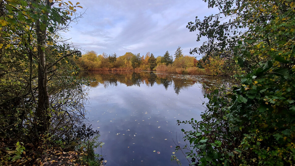 Stråmosen i Ølstykke Foto: Rasmus Udsholt
