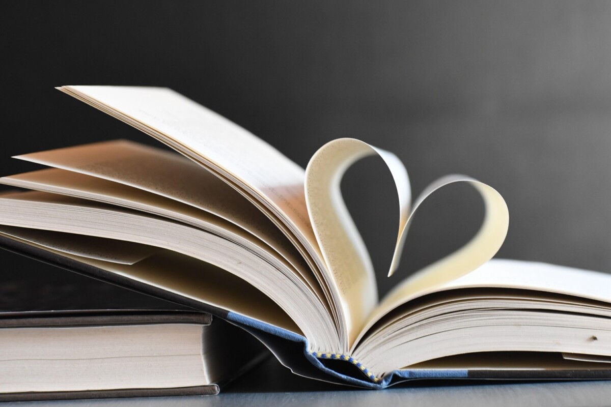 Bog Bøger Litteratur Foto: Veronika Andrews / Pixabay