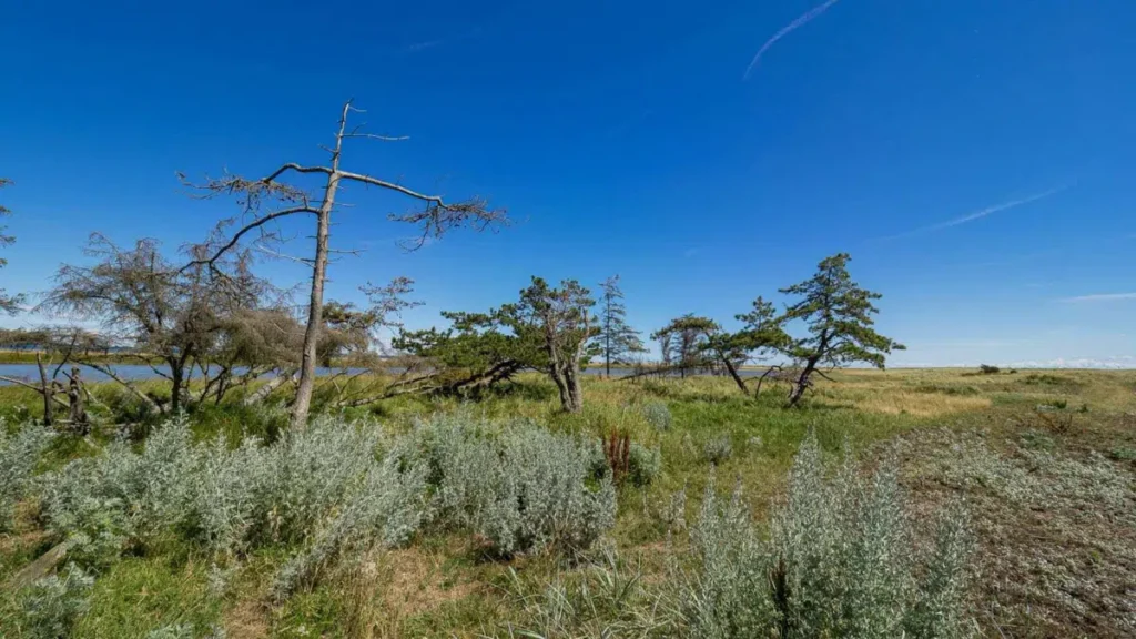 Heldagsbustur til Saksfjed og Hyllekrog Foto: Allan Gudio Nielsen