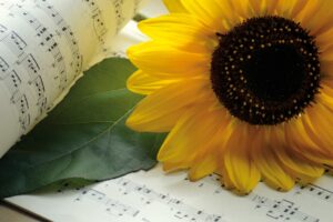 Musik noder sang kor solsikke Foto: Neelam279 / Pixabay