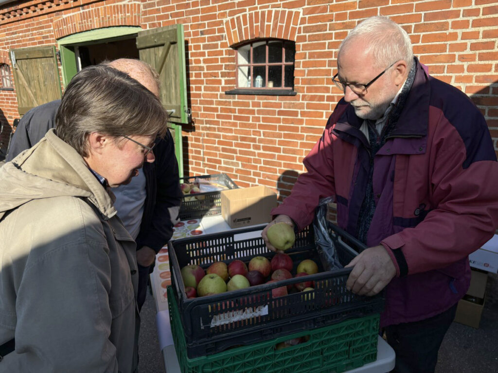 Æbledag på Skenkelsø Mølle Foto: Egedal Arkiver og Museum