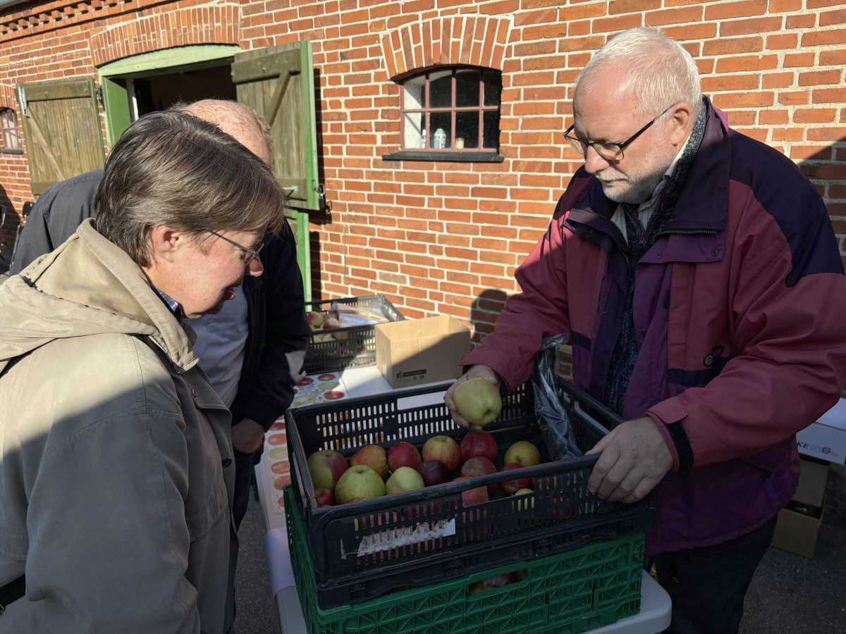 Æbledag på Skenkelsø Mølle Foto: Egedal Arkiver og Museum
